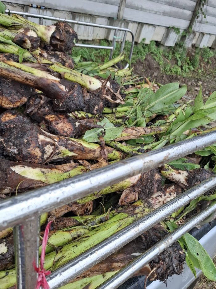 ธนกฤช 889 รับเหมาทุบตึก รื้อถอนอาคารครบวงจร เคลียร์พื้นที่รกร้าง และรับซื้อบ้านไม้เก่าให้ราคาสูง บริการด่วนทั่วกรุงเทพฯ และปริมณฑล ด้วยทีมงานมืออาชีพ  [..]